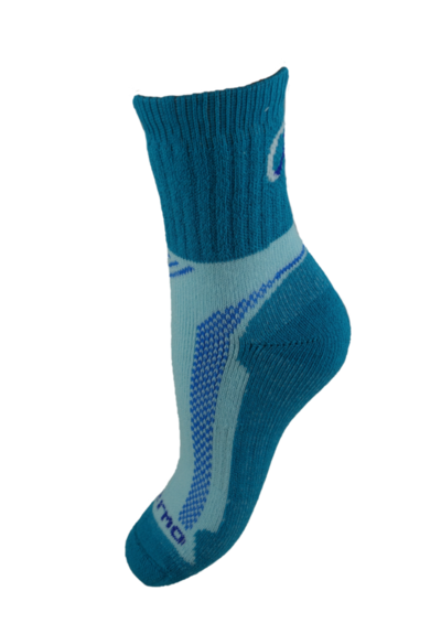 AM/3